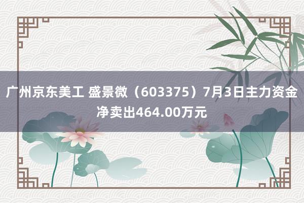 广州京东美工 盛景微（603375）7月3日主力资金净卖出464.00万元