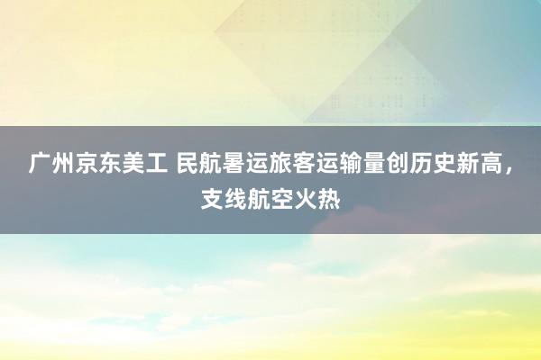 广州京东美工 民航暑运旅客运输量创历史新高，支线航空火热